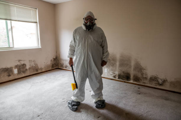 Mold Testing and Removal in East Marion, NY